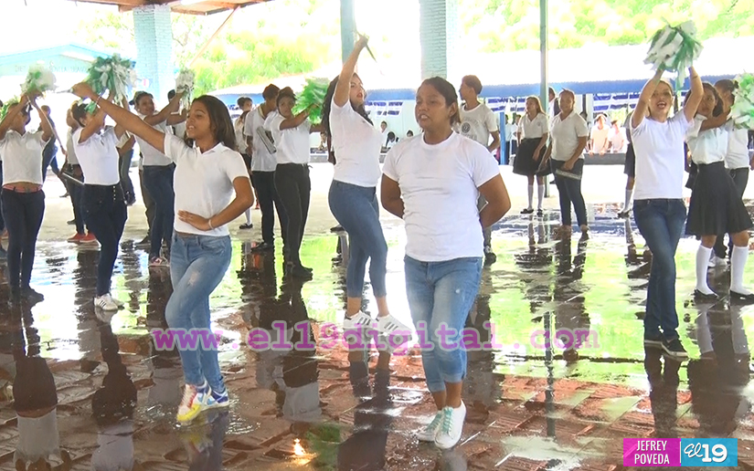 bandas